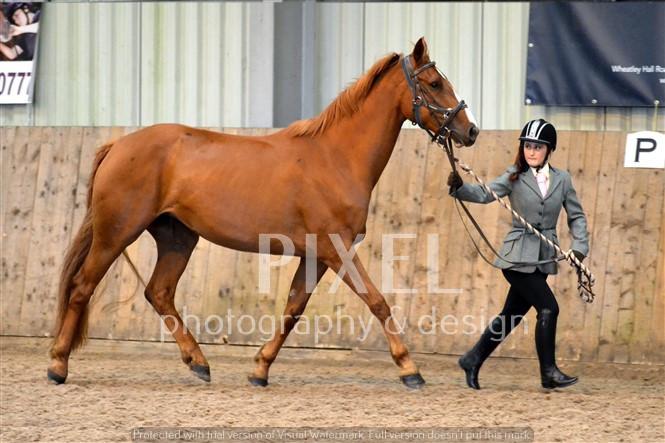 Chestnut in hand