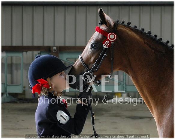 Girl kissing horse