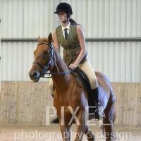 Chestnut canter