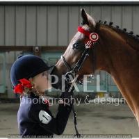 Girl kissing horse