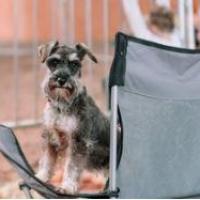 Schnautzter