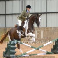 Skewbald jumping