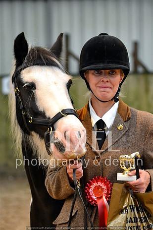 Rosette and trophy