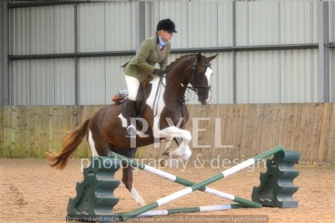 Skewbald jumping